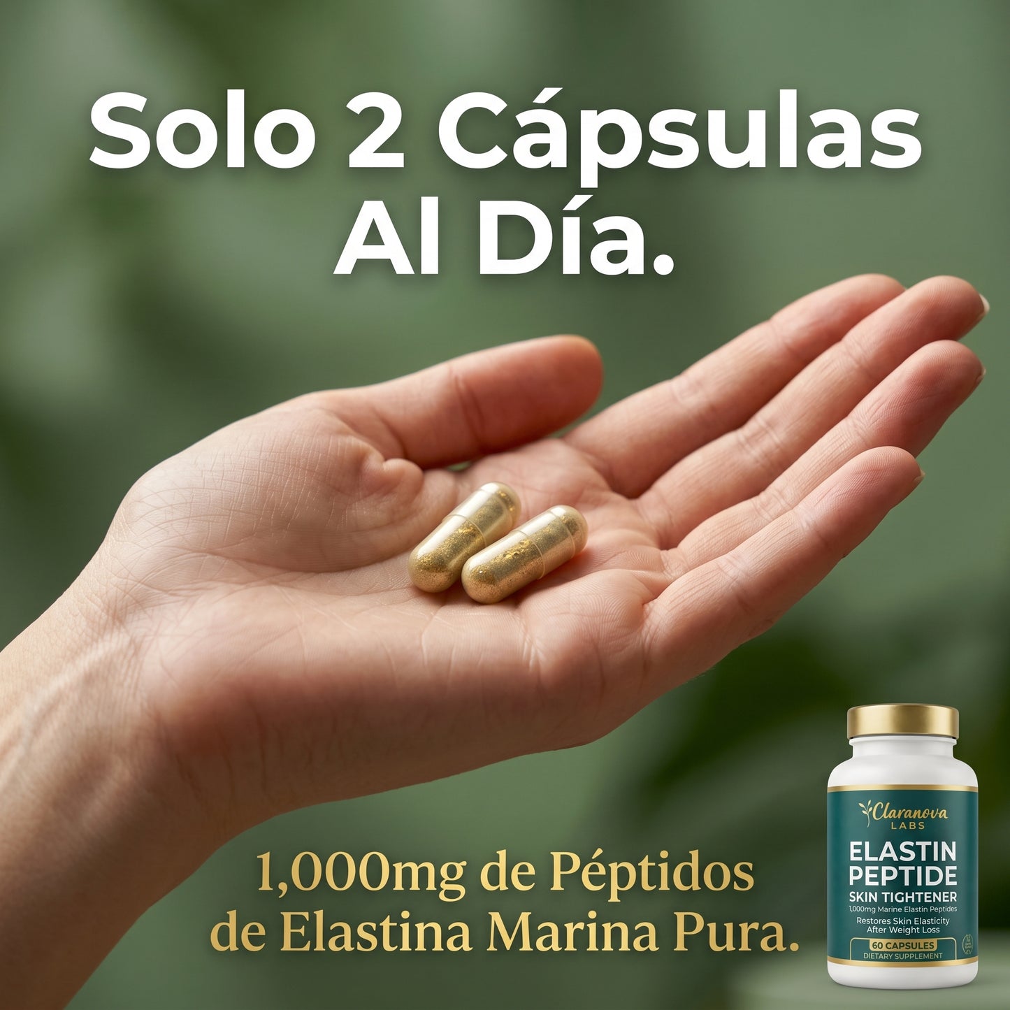 Fórmula Tensora de Piel Elastin Peptide