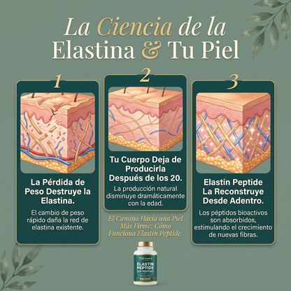 Fórmula Tensora de Piel Elastin Peptide