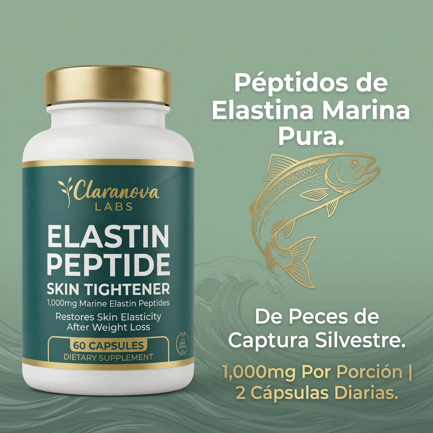 Fórmula Tensora de Piel Elastin Peptide