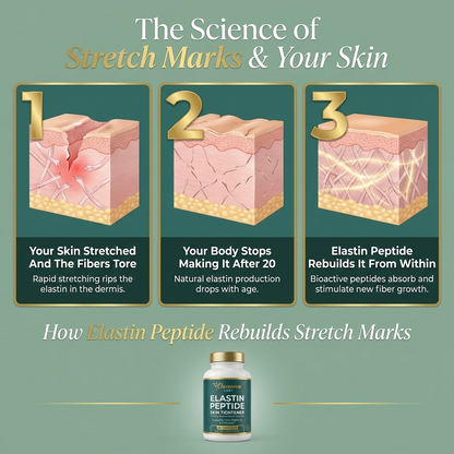 Elastin Peptide Stretch Mark Formula
